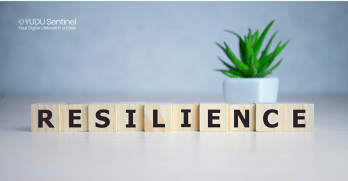The Resilience ROI: Quantifying the Business Value of Crisis Preparedness
