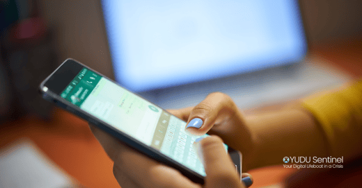 Why Businesses Still Pay for Sentinel PiNG When WhatsApp Is Free